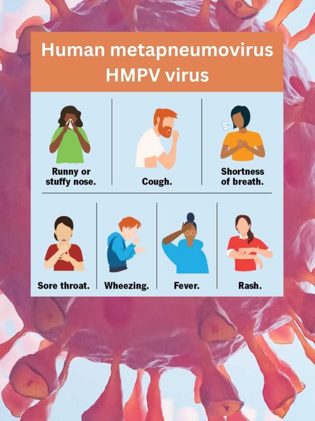 human metapneumovirus hmpv virus